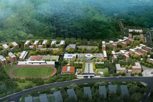 厦门|2023年初中毕业学什么专业好