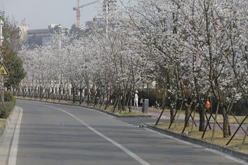 贵州电子信息职业技术学院2023年招生简章