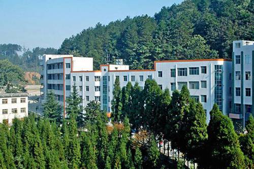 2023汉语言文学专业就业方向 主要学什么