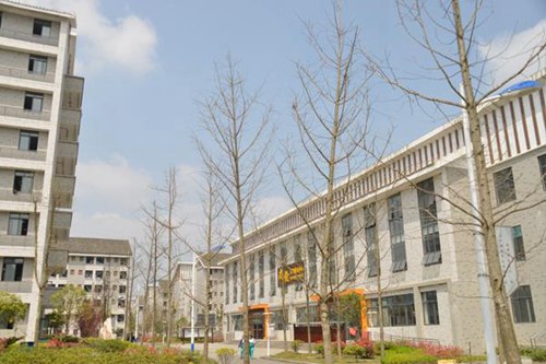 石家庄信息工程职业学院五年制大专药剂专业怎样