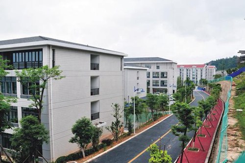 厦门|现在什么职业比较适合女生 2023吃香的职业有哪些