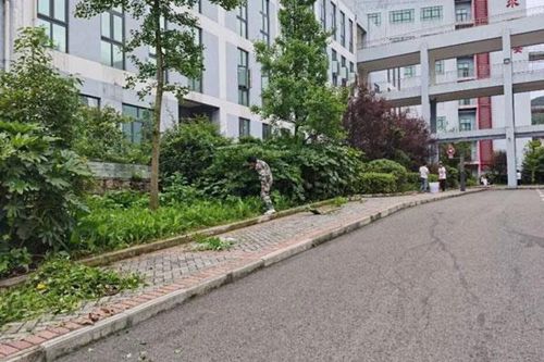 承德汽车技师学院2022年3+2五年制大专招生简章