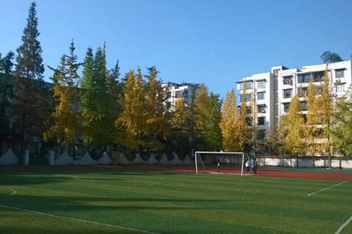 城固职业教育中心2023年招生要求多少分怎么样