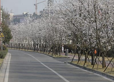 六盘水市民族职业技术学校