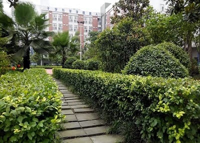 漳州市农业学校是公办还是民办？