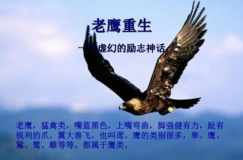 广东对外贸易职业技术学校2024年宿舍条件