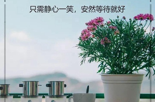 2024吕梁经济管理学校开设的专业一览表