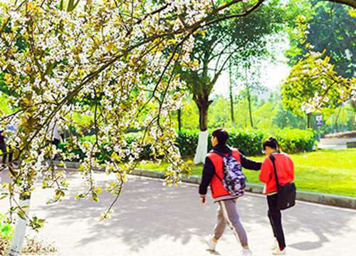 2024北京计算机工业学校开设的专业一览表