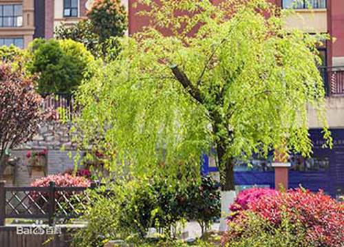 自贡市永安职业中学校2024年宿舍条件