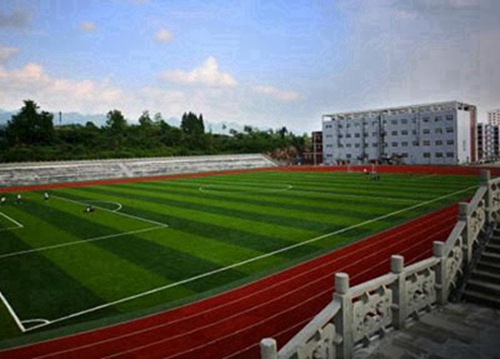 云南省林业学校2025年招生要求有哪些