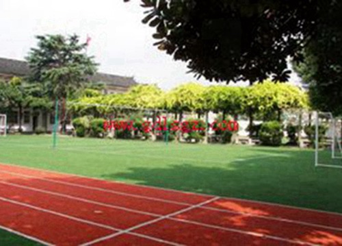 2024湖北排名前五的药剂学校名单