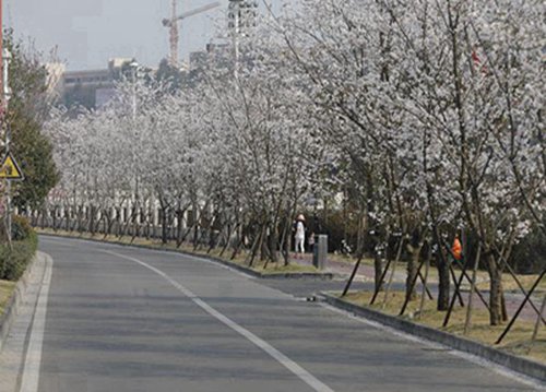 合肥计算机网络应用技工学校排名榜（最新）